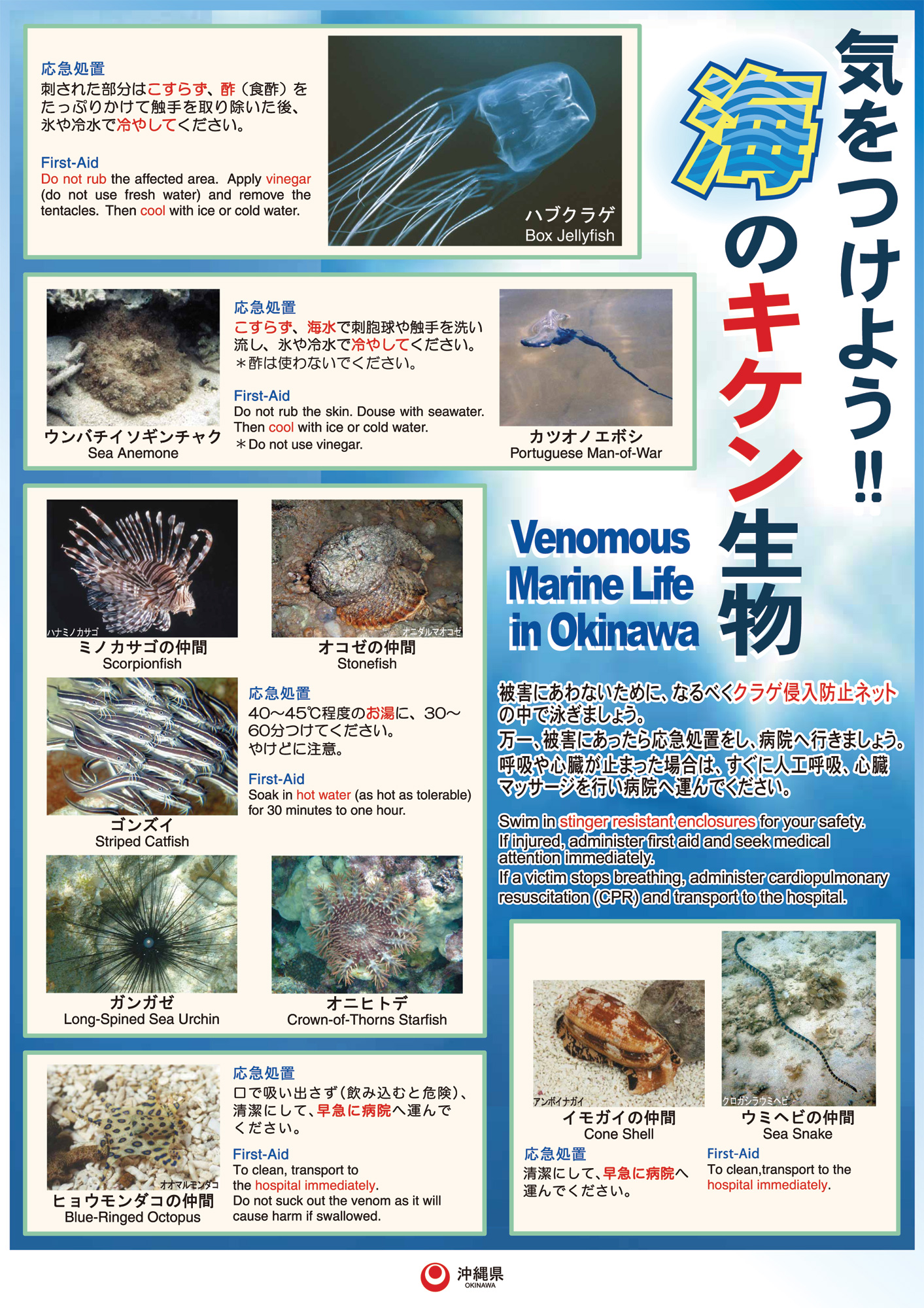 海の危険生物ポスター